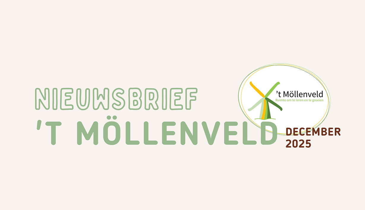 NieuwsbriefMöllenveldDecember 2025-header