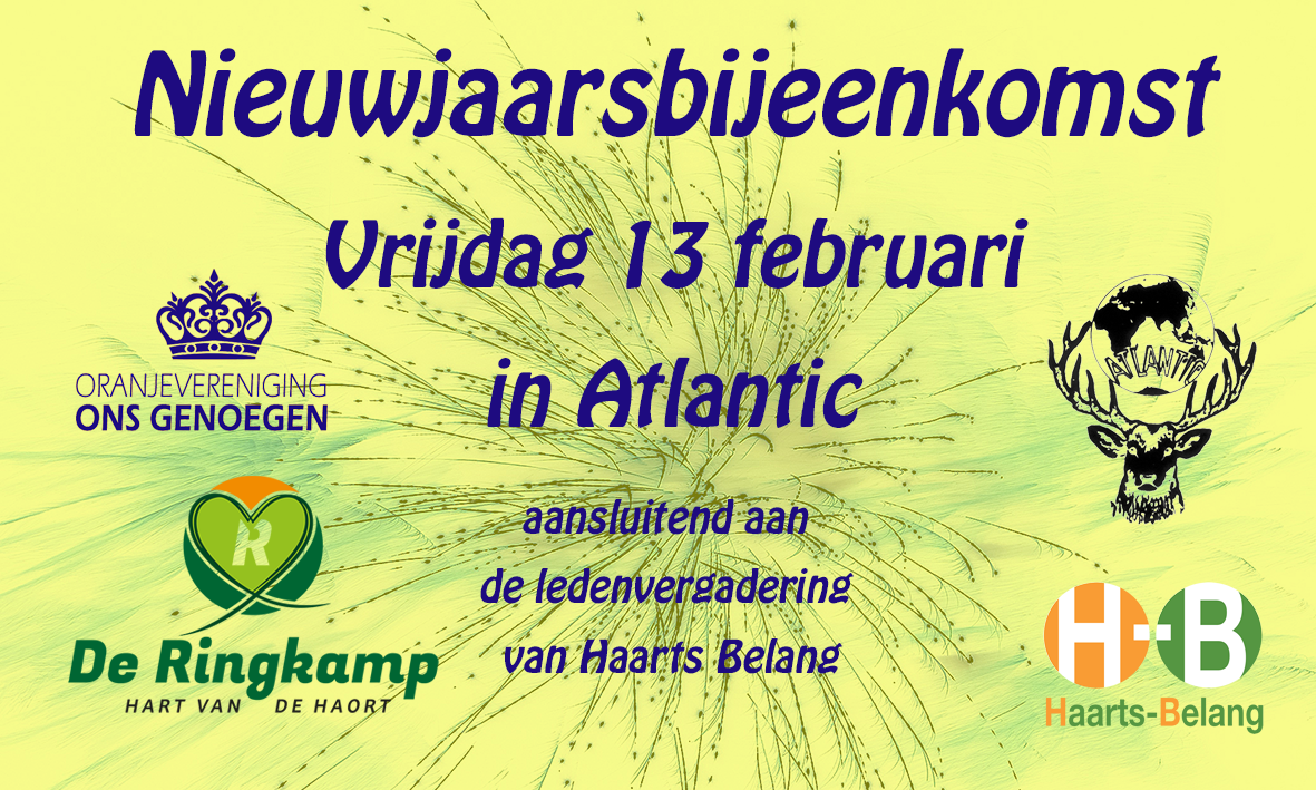 Nieuwjaarsbijeenkomst